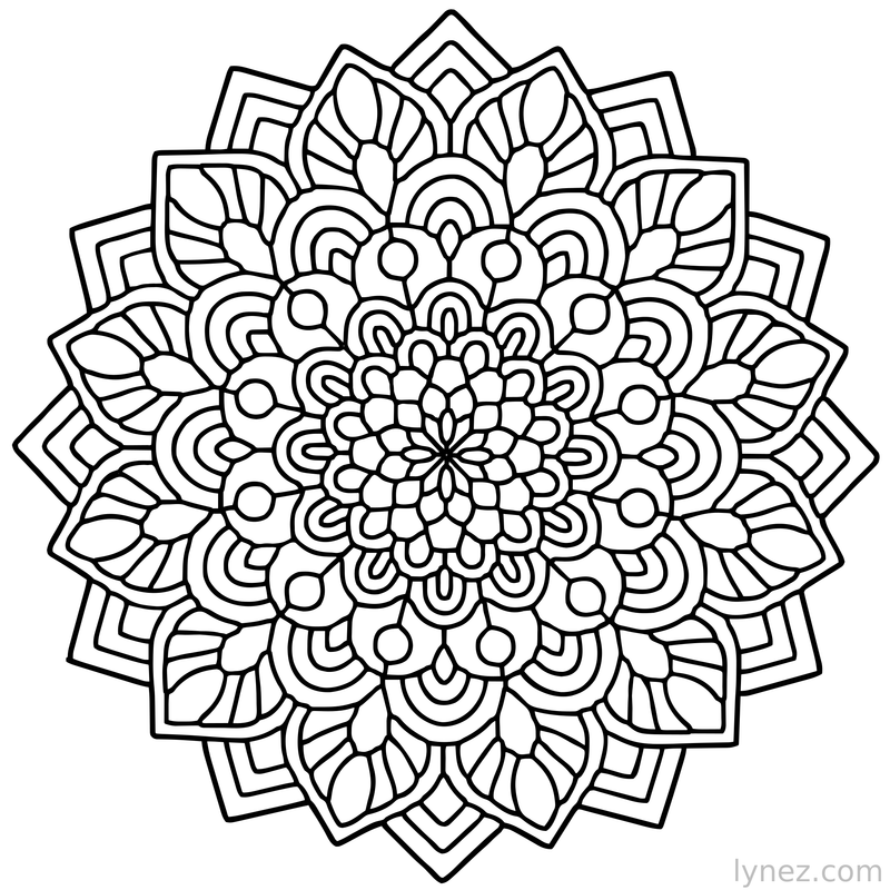 Wall Decor Single Line