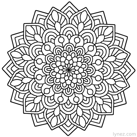 Wall Decor Single Line