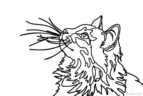 Cat Custom Generated Single Line