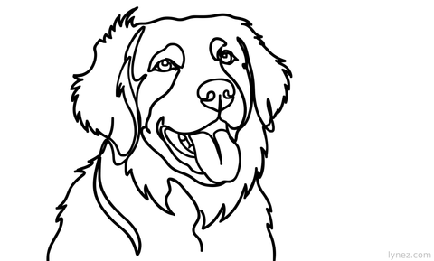 Dog Generated Single Line