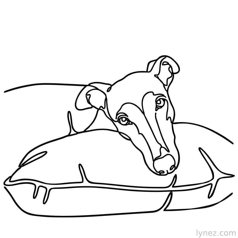 Greyhound on Pillow