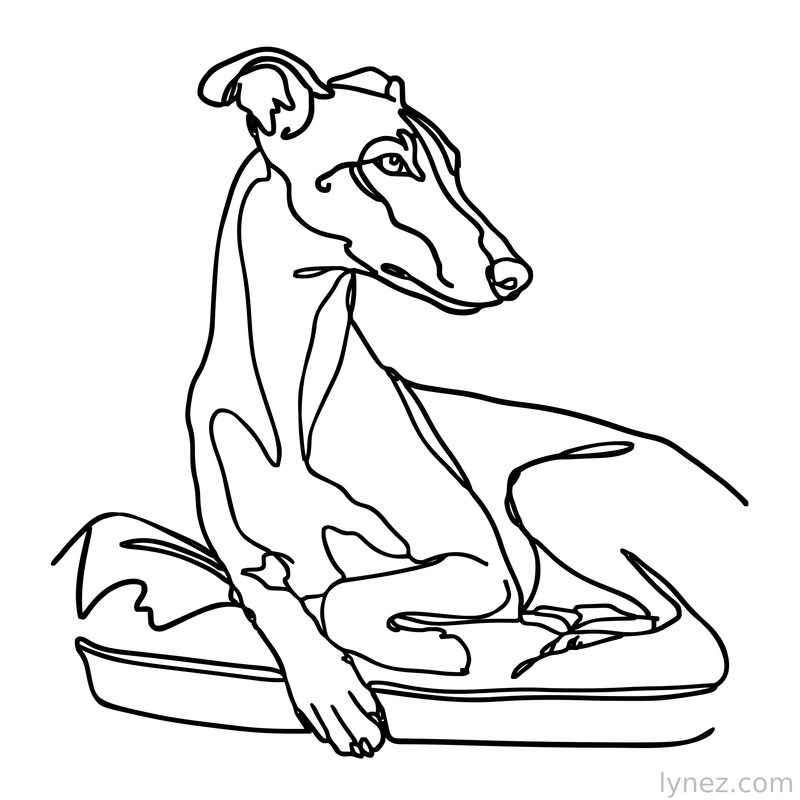 Resting Greyhound